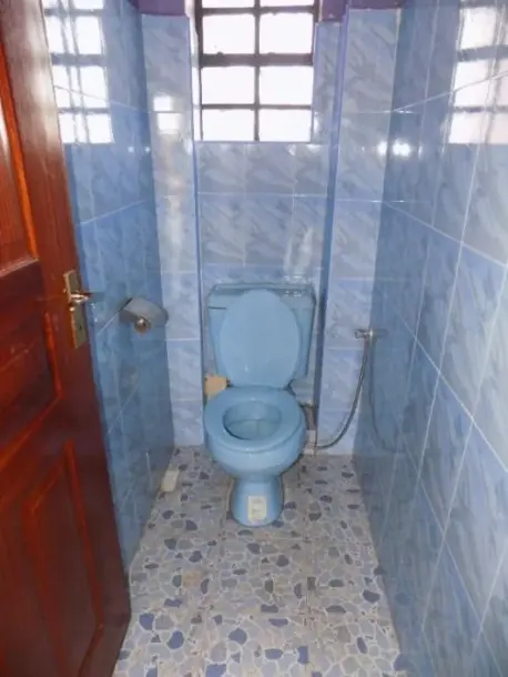 Spacious 1-Bedroom Apartment in Thika | Move-In Ready-2